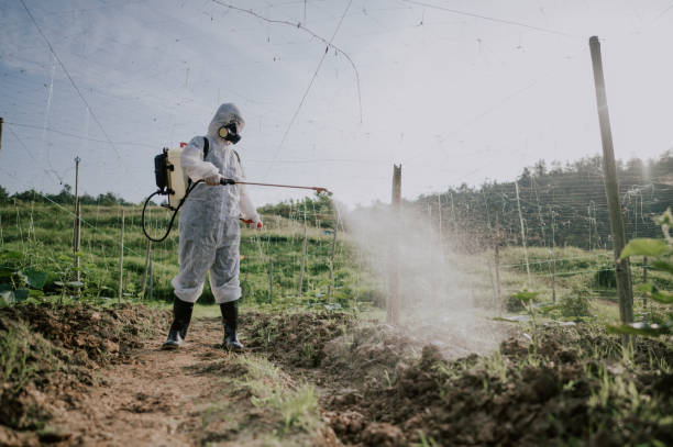Best Affordable Pest Control Services  in Harrisville, PA