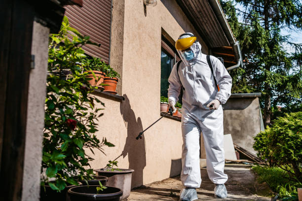 Best Termite Control Services  in Harrisville, PA