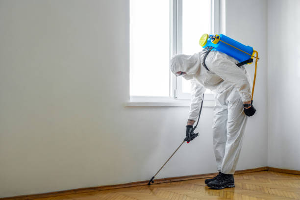 Best Pest Control Near Me  in Harrisville, PA
