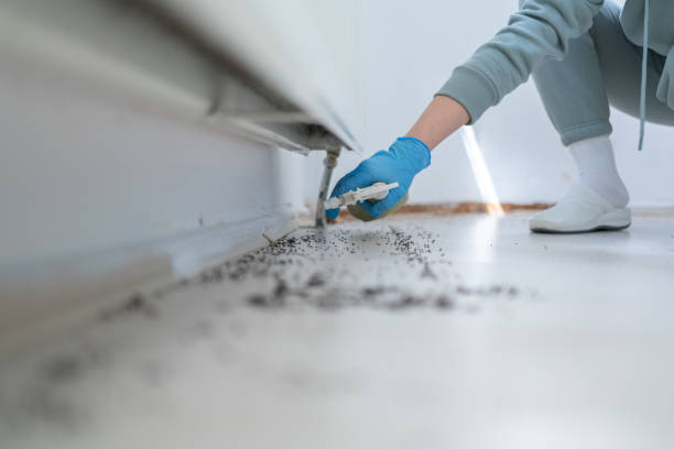 Best Mosquito Control Services  in Harrisville, PA